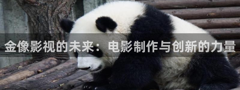 丝瓜影院在线播放：金像影视的未来：电影制作与创新的力量